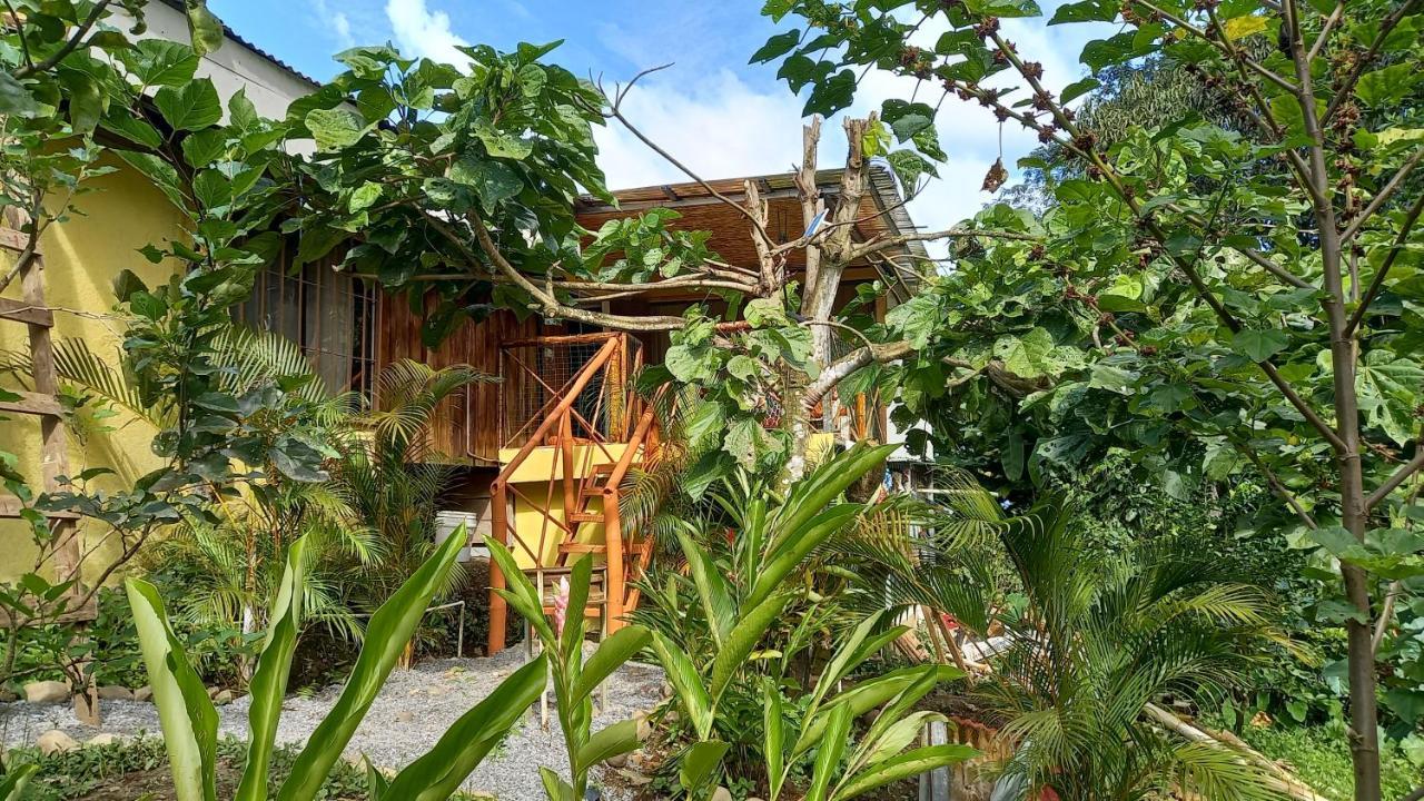 Cacao Lodge And Tours La Fortuna Eksteriør bilde